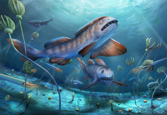 В Китае обнаружили древнюю акулу с зубами в форме лепестков.Вокруг Света. Украина