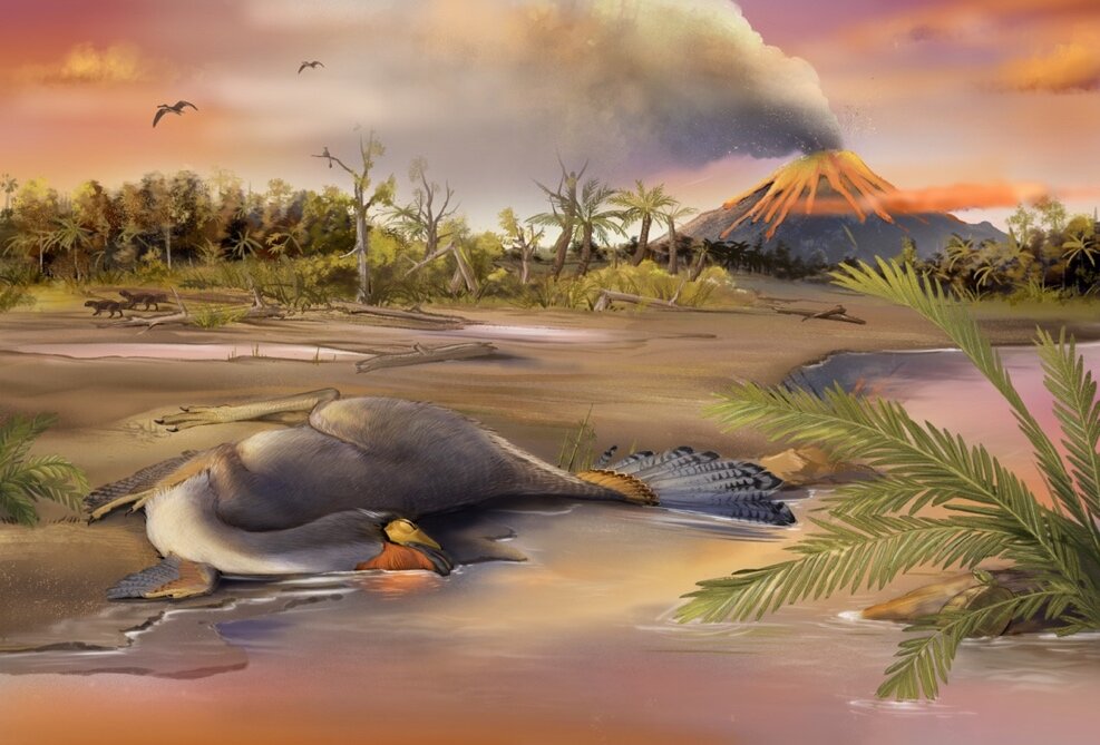 Палеонтологи обнаружили клетки динозавра возрастом 125 миллионов лет.Вокруг Света. Украина