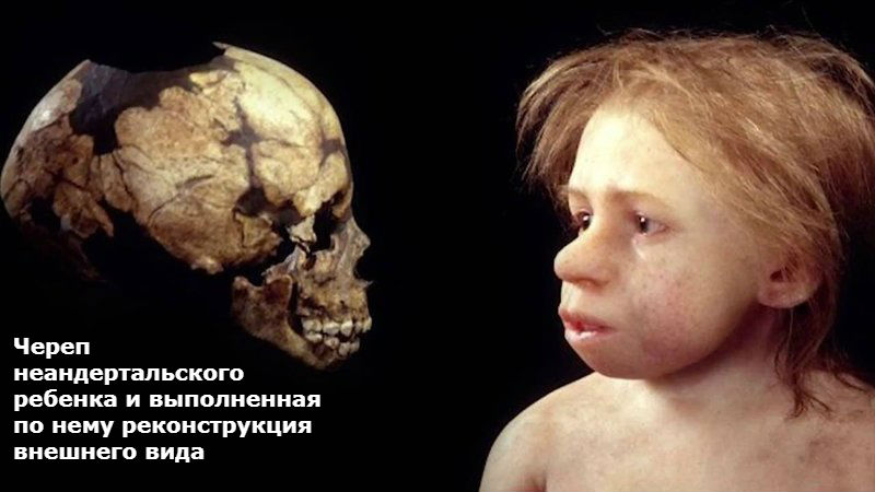 Палеоантропологи нашли в Иране молочный зуб неандертальца.Вокруг Света. Украина