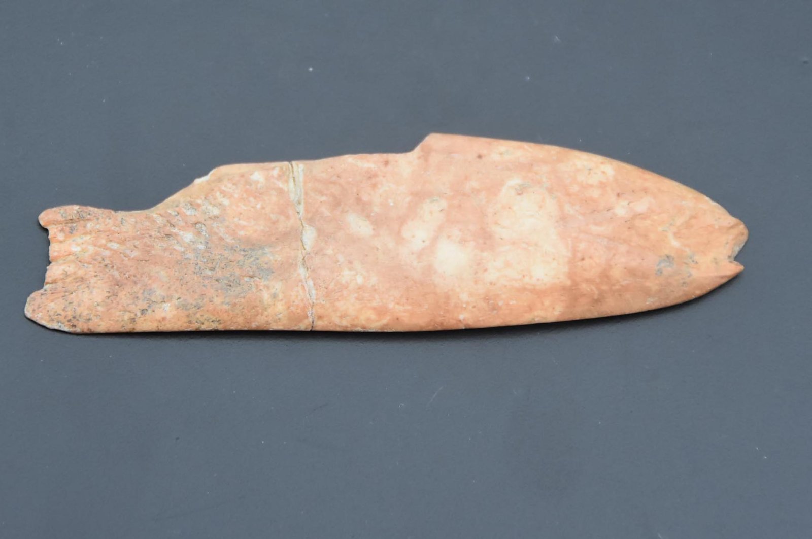 В Турции нашли инструмент в форме рыбы для удаления чешуи: ему 8 тыс. лет.Вокруг Света. Украина