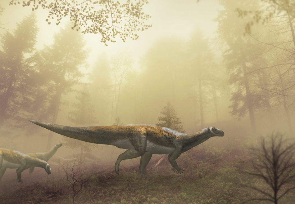 Похожий на хищника австралийский динозавр оказался вегетарианцем.Вокруг Света. Украина
