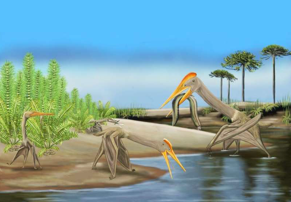 Детеныши крупных птерозавров доминировали в небе 100 млн лет назад.Вокруг Света. Украина