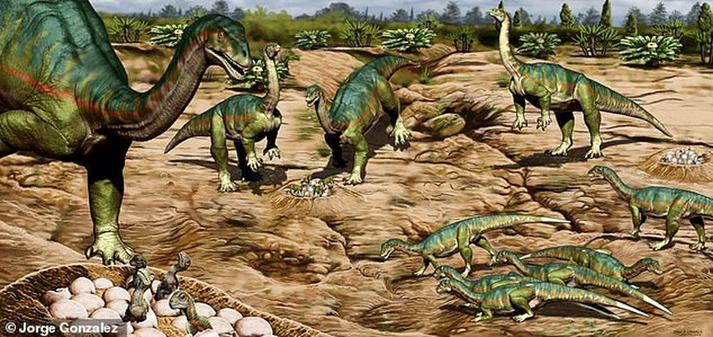 Самое древнее стадо: первые динозавры были общественными животными