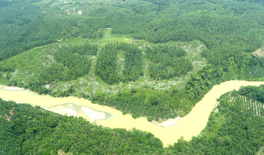 ЮНЕСКО назвала десять вредных для планеты охраняемых лесов