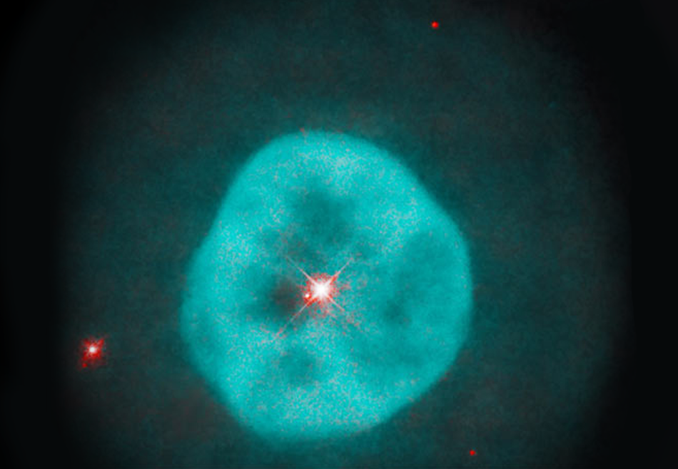 Hubble заметил таинственную планетарную туманность Глаз Клеопатры