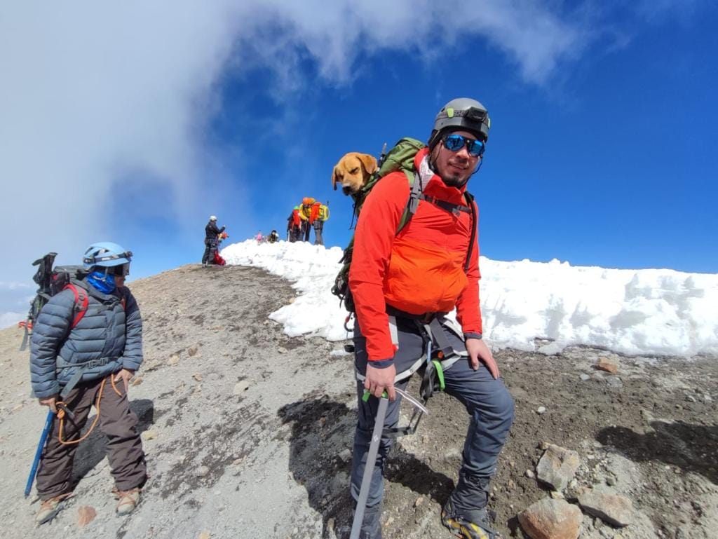 Альпинисты спасли собаку с самой высокой горы Мексики