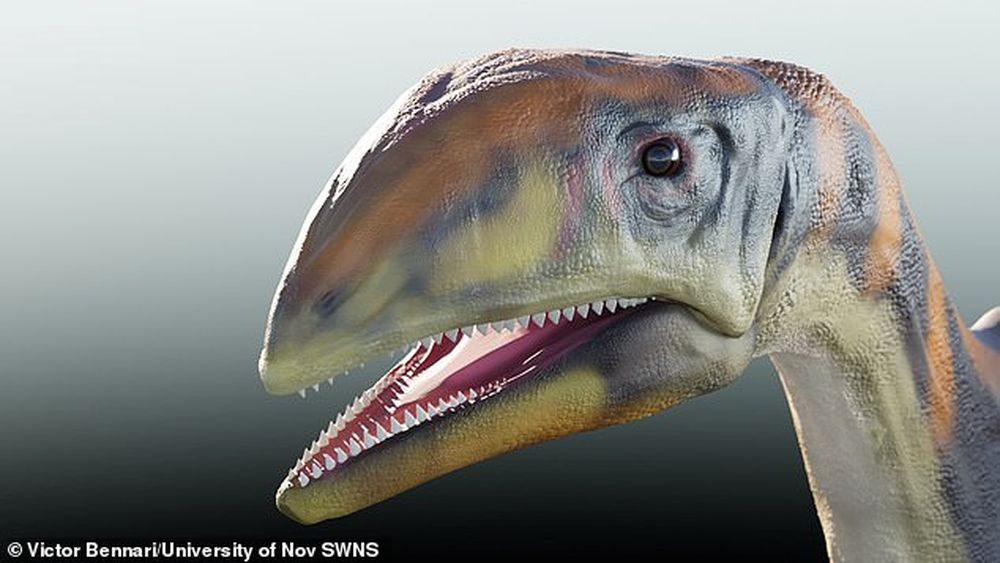 В Гренландии нашли новый вид динозавров.Вокруг Света. Украина