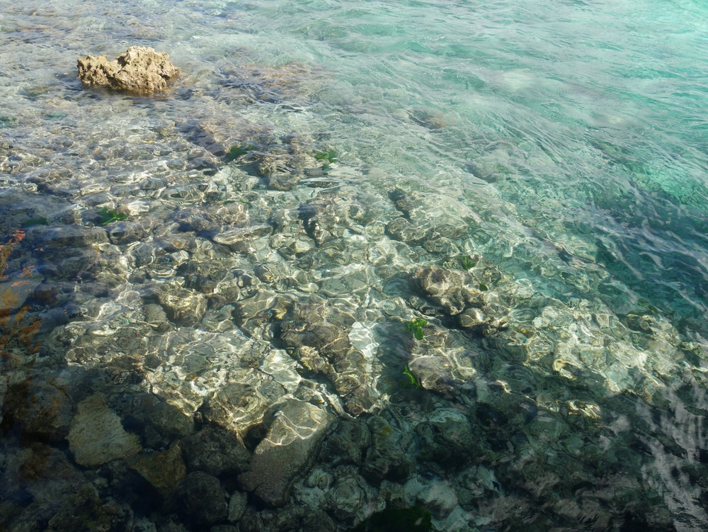 На Марианских островах стремительно исчезают кораллы. Кто и как их спасает?.Вокруг Света. Украина