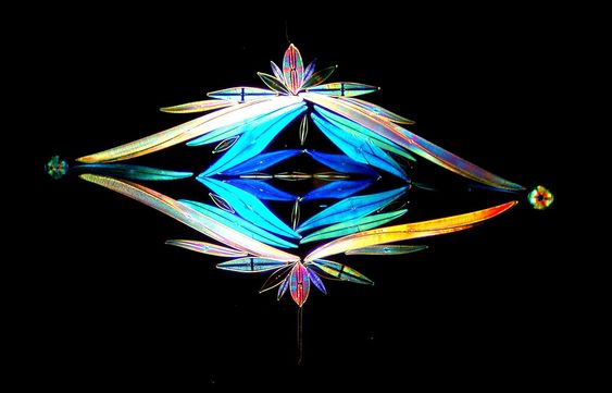 Британский художник создает картины из микроводорослей