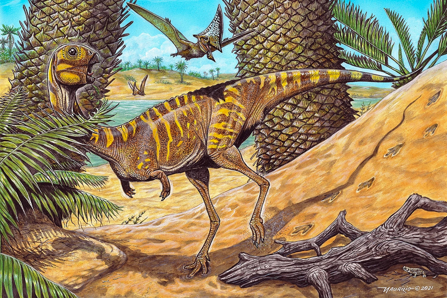 В Бразилии нашли останки хищного, но беззубого динозавра