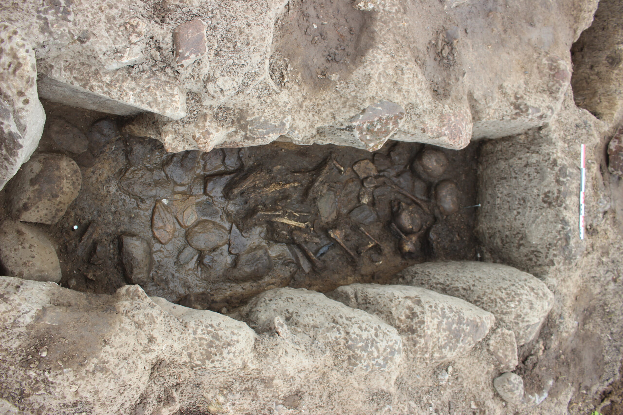 В Дании нашли необычное детское кладбище возрастом 4 тысячи лет