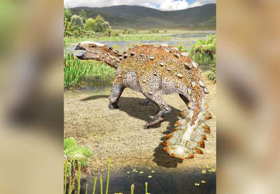 Вооружен и опасен: в Чили открыли новый вид панцирного динозавра с «убийственным» хвостом
