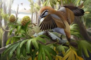 Палеонтологи описали новый вид древней птицы с непомерно длинным языком