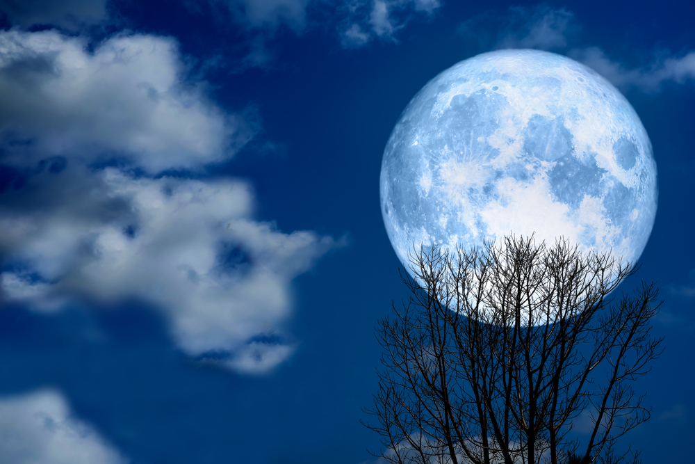 Холодная луна: когда смотреть самое длинное полнолуние 2021 года