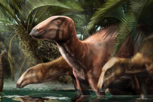 В Италии обнаружили окаменелости стада динозавров