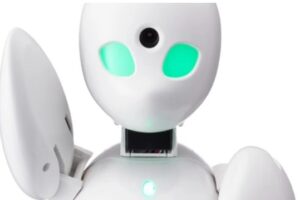 В Японии отшельникам раздадут роботов, которые будут ходить вместо них на улицу