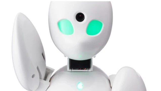 В Японии отшельникам раздадут роботов, которые будут ходить вместо них на улицу