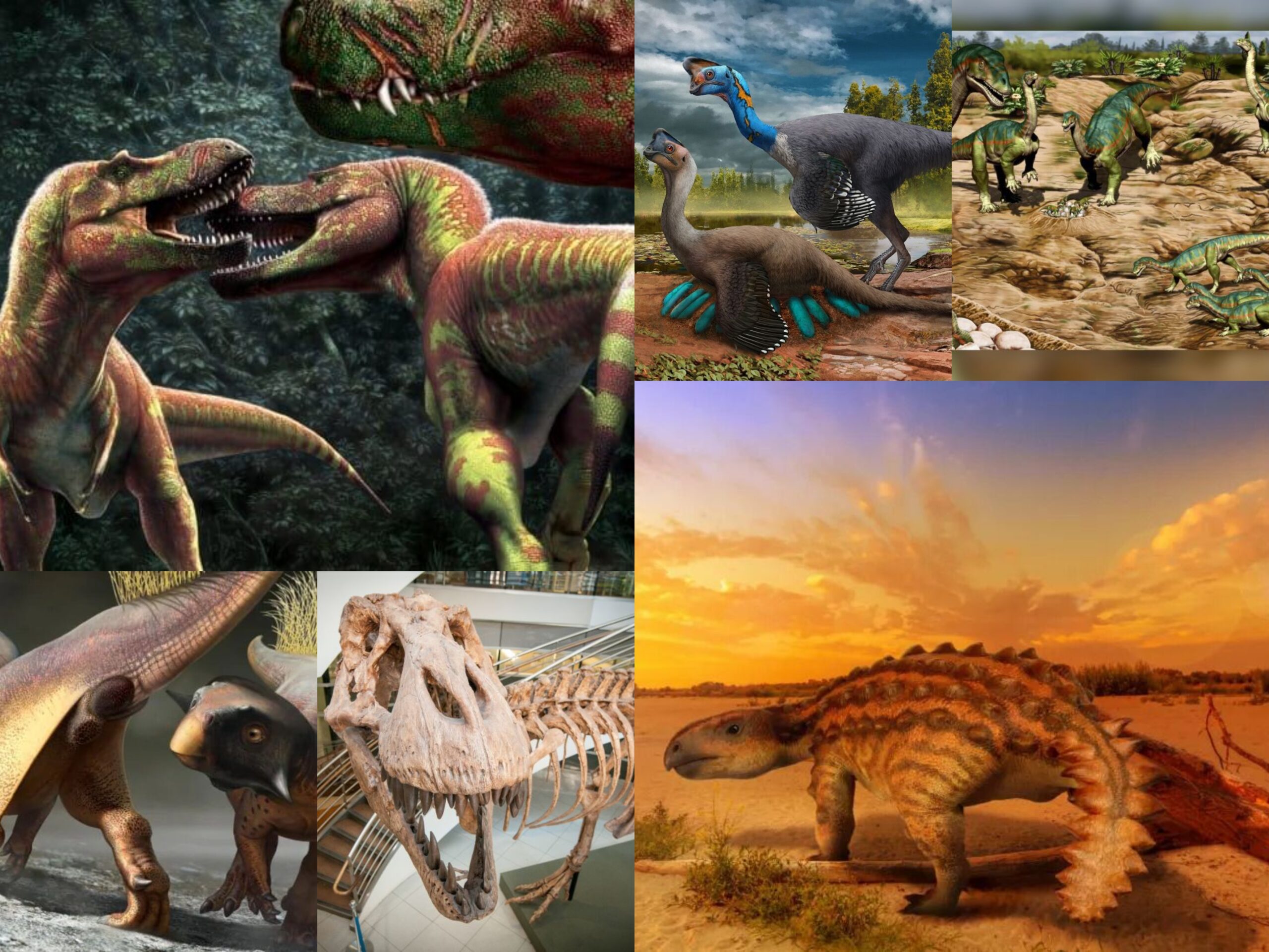 Мировая война тираннозавров: топ-10 открытий о динозаврах в 2021 году.Вокруг Света. Украина