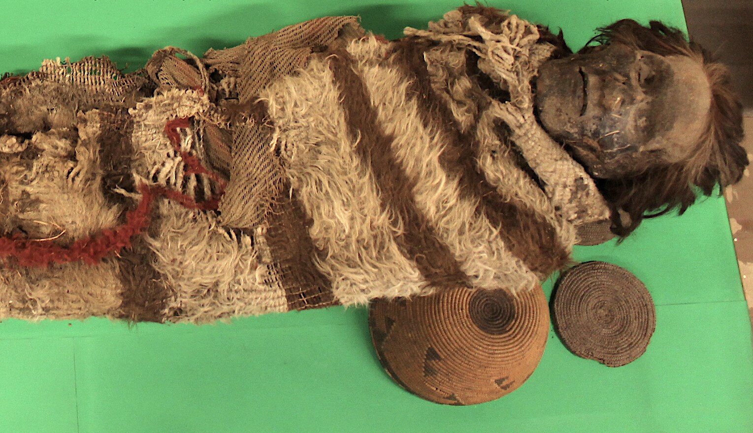 Вши, найденные на тысячелетних мумиях, сохранили ДНК человека
