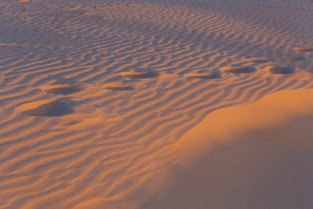 Волны песка подчиняются законам математики.Вокруг Света. Украина