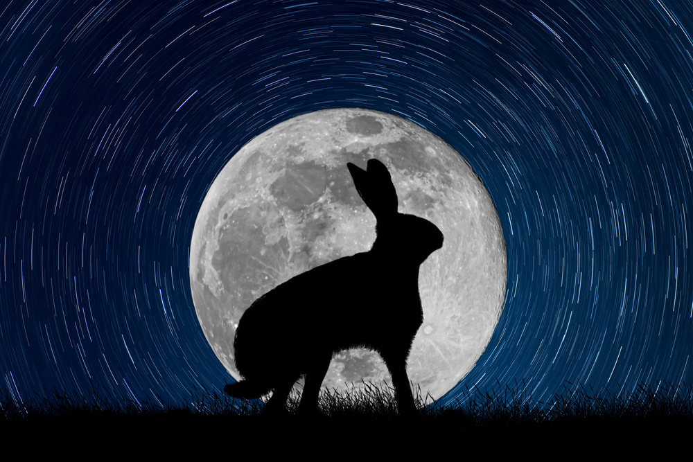 Не куб, а кролик: китайский ровер раскрыл загадку странного объекта на Луне.Вокруг Света. Украина