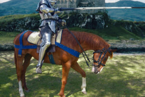 Не богатыри: средневековые боевые лошади были не больше современных пони
