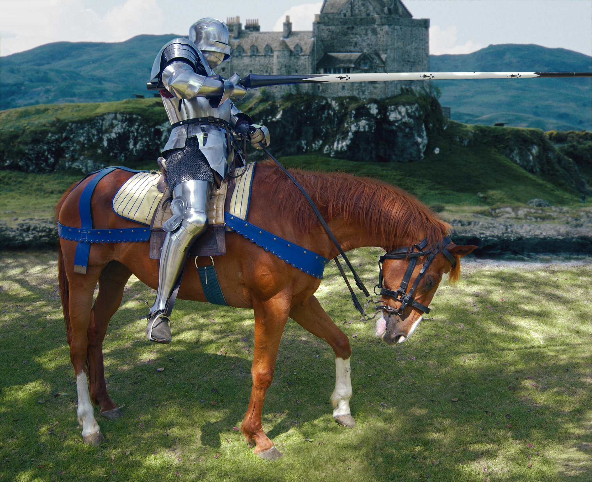 Не богатыри: средневековые боевые лошади были не больше современных пони.Вокруг Света. Украина