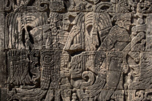 В рационе древних майя было много растений, устойчивых к засухе: не она погубила их цивилизацию