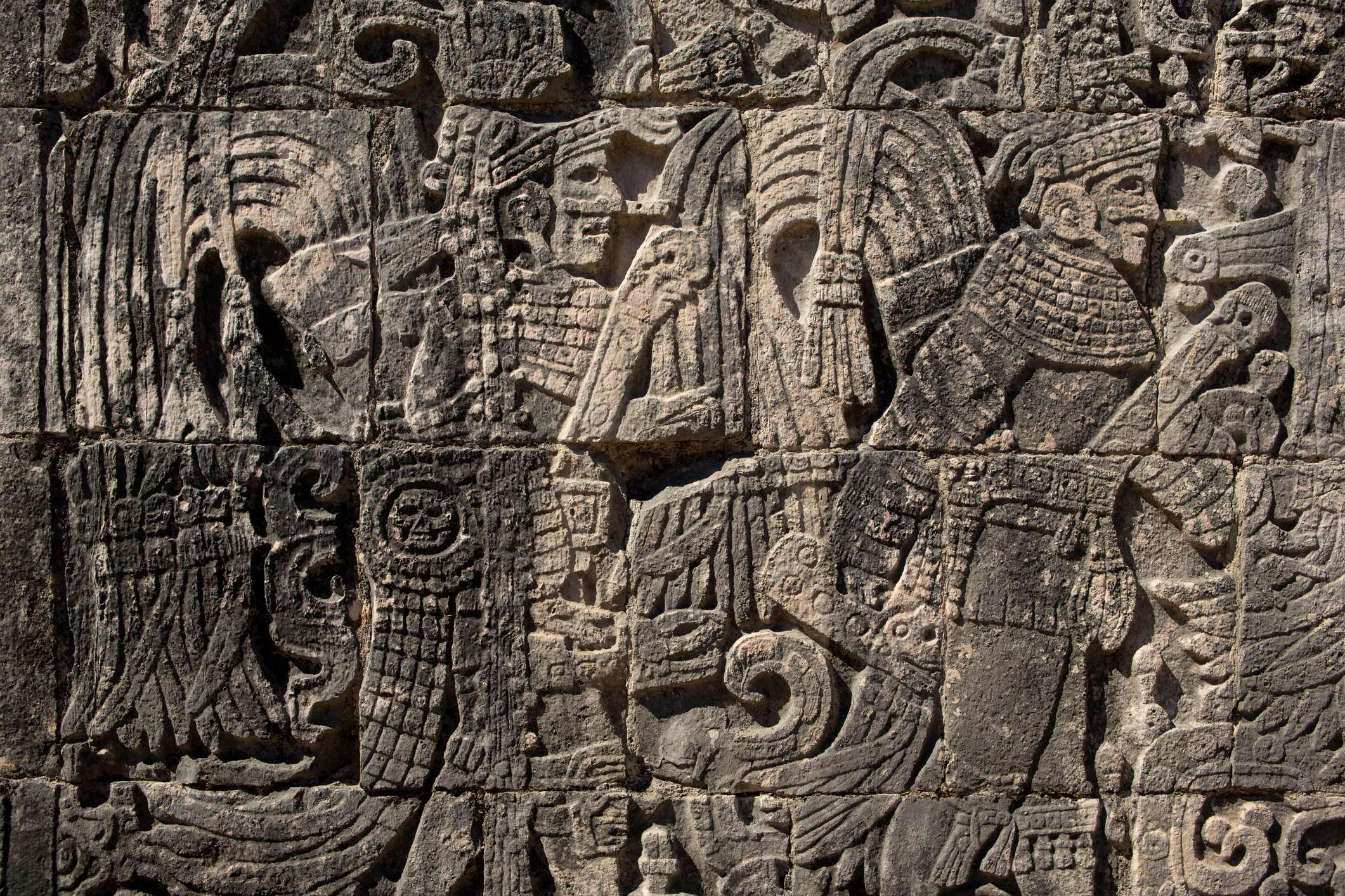 В рационе древних майя было много растений, устойчивых к засухе: не она погубила их цивилизацию