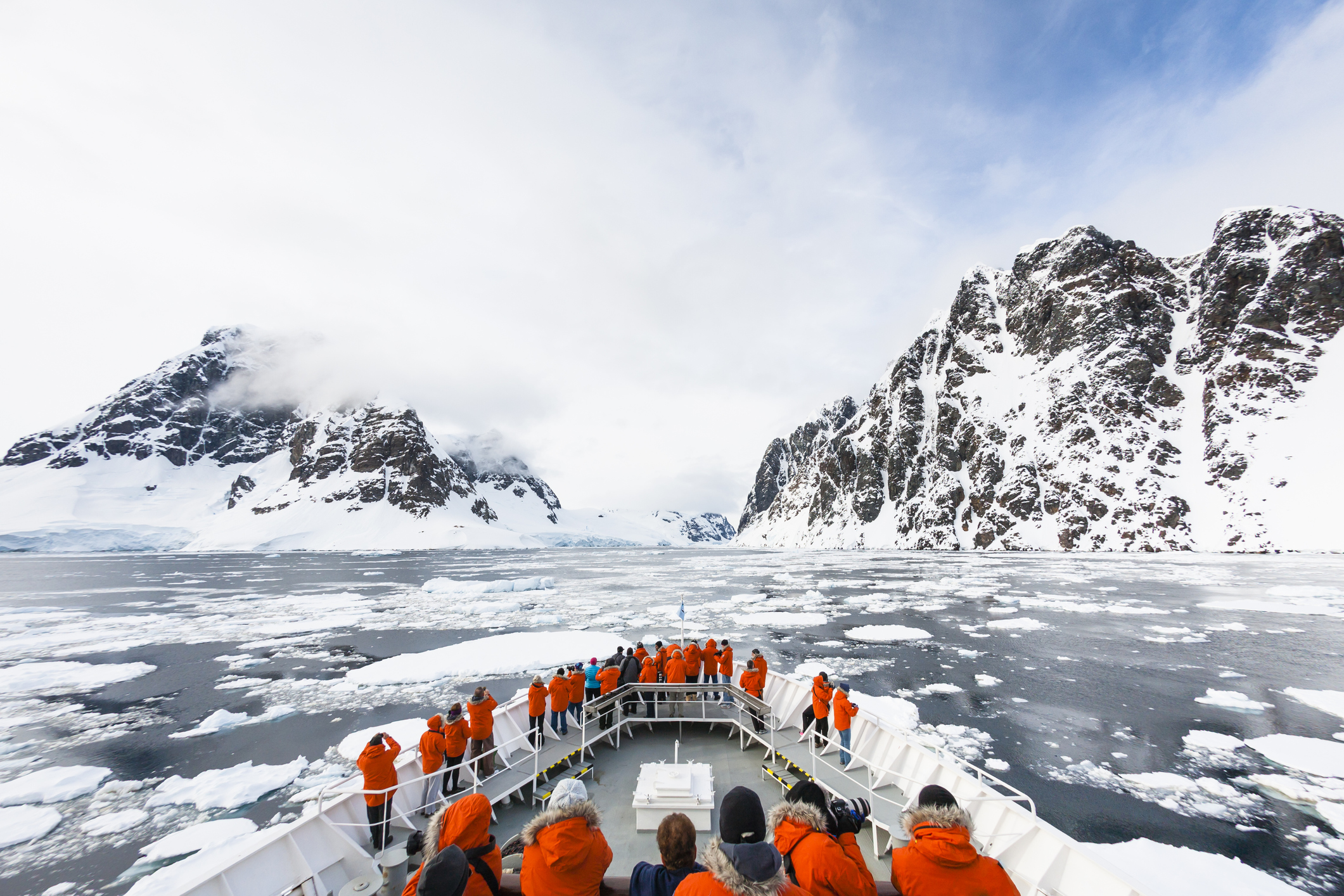 Корабли разрушают экосистему Антарктиды инвазивными видами со всего мира