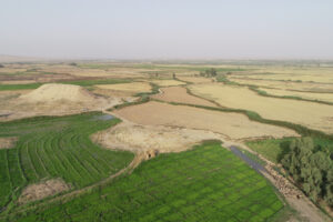 Археологи нашли древнейшие следы поликультурного земледелия в Древней Месопотамии