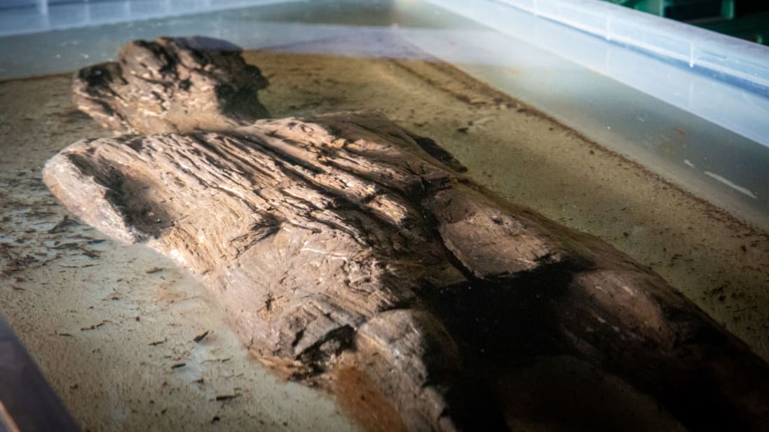 В Британии откопали редкую деревянную фигуру древнеримского периода