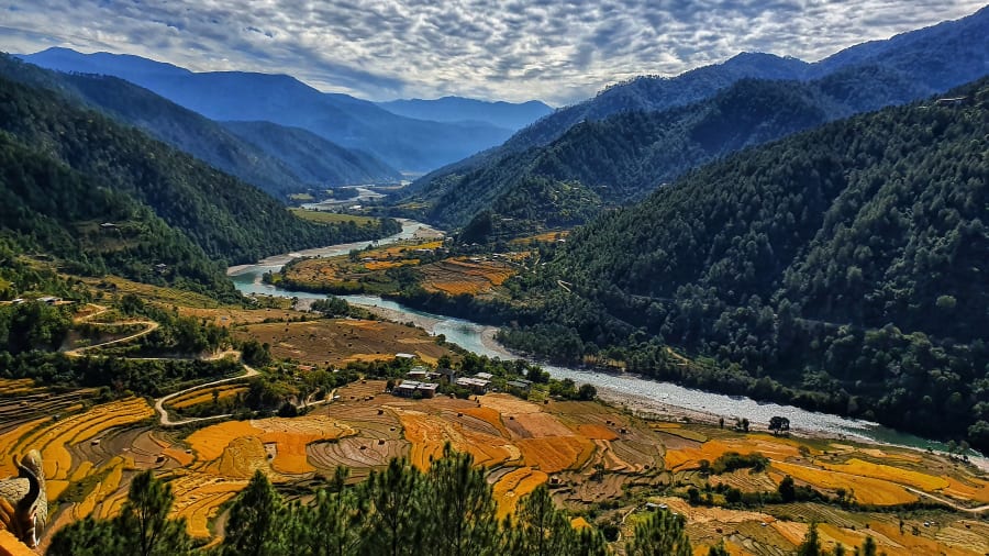 Древнюю тропу Бутана откроют для путешественников впервые за 60 лет