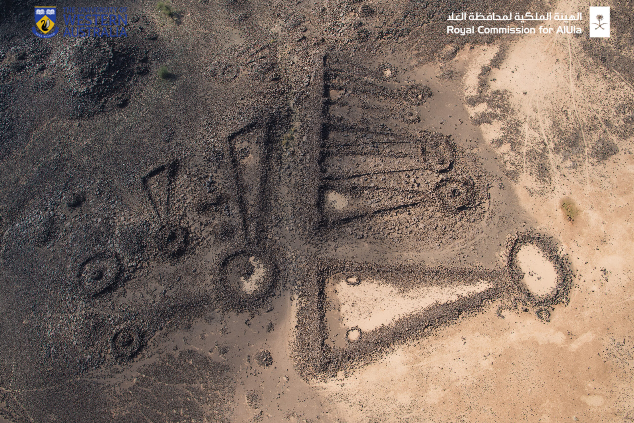 На Аравийском полуострове нашли древние 