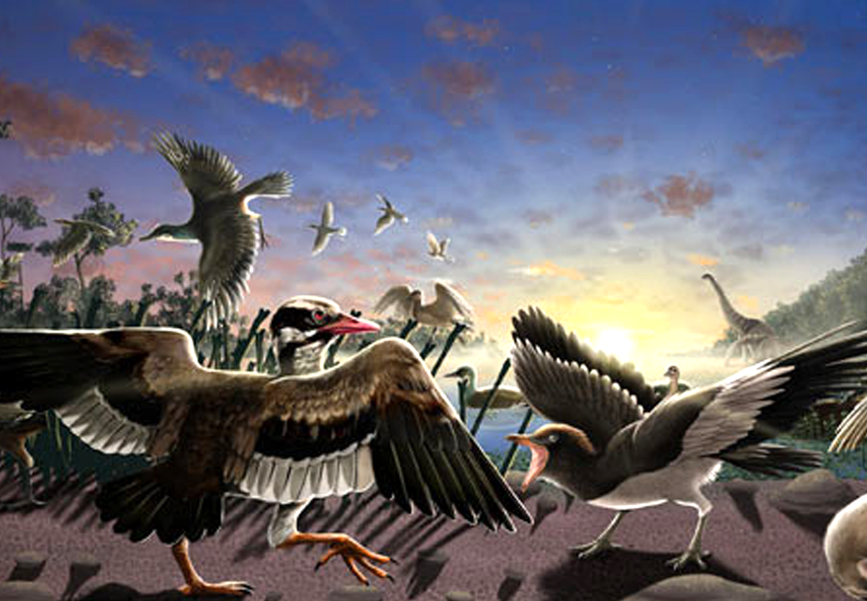 В Китае открыли два новых вида ископаемых птиц.Вокруг Света. Украина