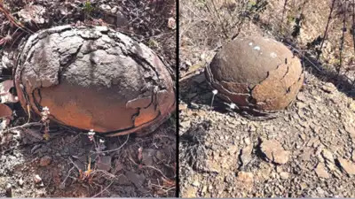 Яйца динозавров или просто камни? В джунглях Индии обнаружили загадочные объекты