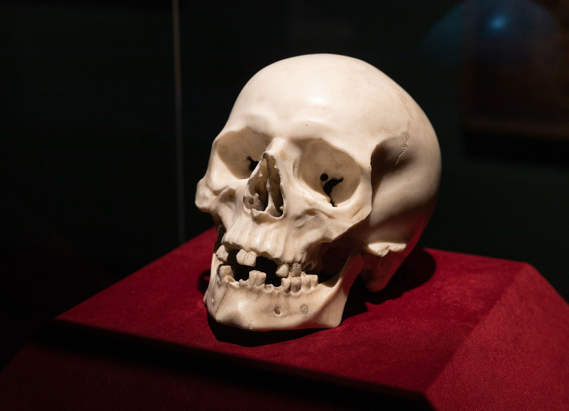Антропологи выяснили, почему средневековый мраморный череп так похож на настоящий