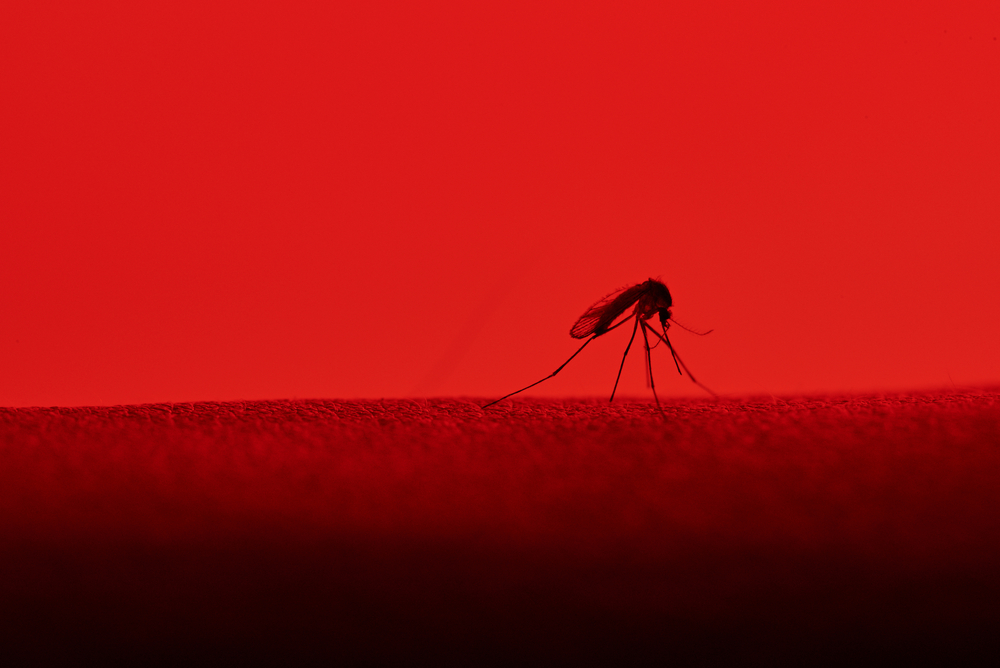Комаров привлекает красная одежда