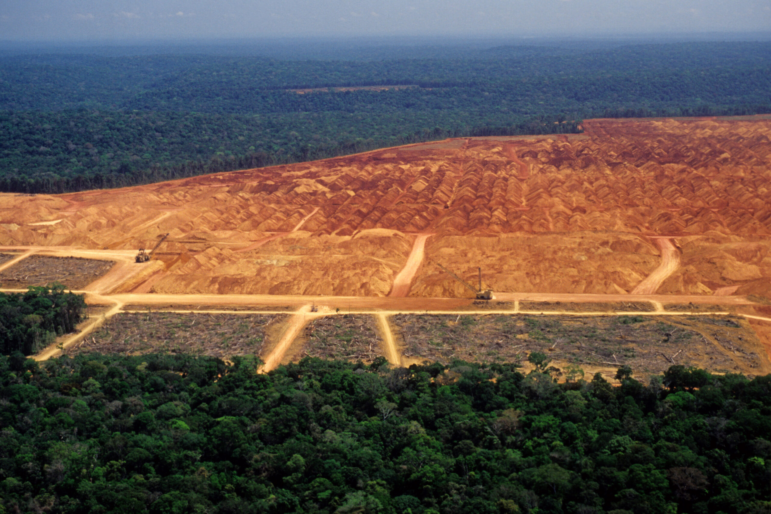 В январе в бразильской Амазонии зафиксирован рекордный уровень вырубки леса.Вокруг Света. Украина