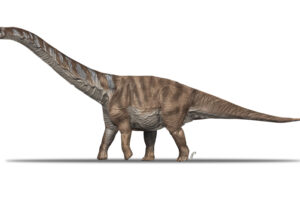 Самый большой титанозавр Европы: в Пиренеях нашли новый вид динозавра. Видео