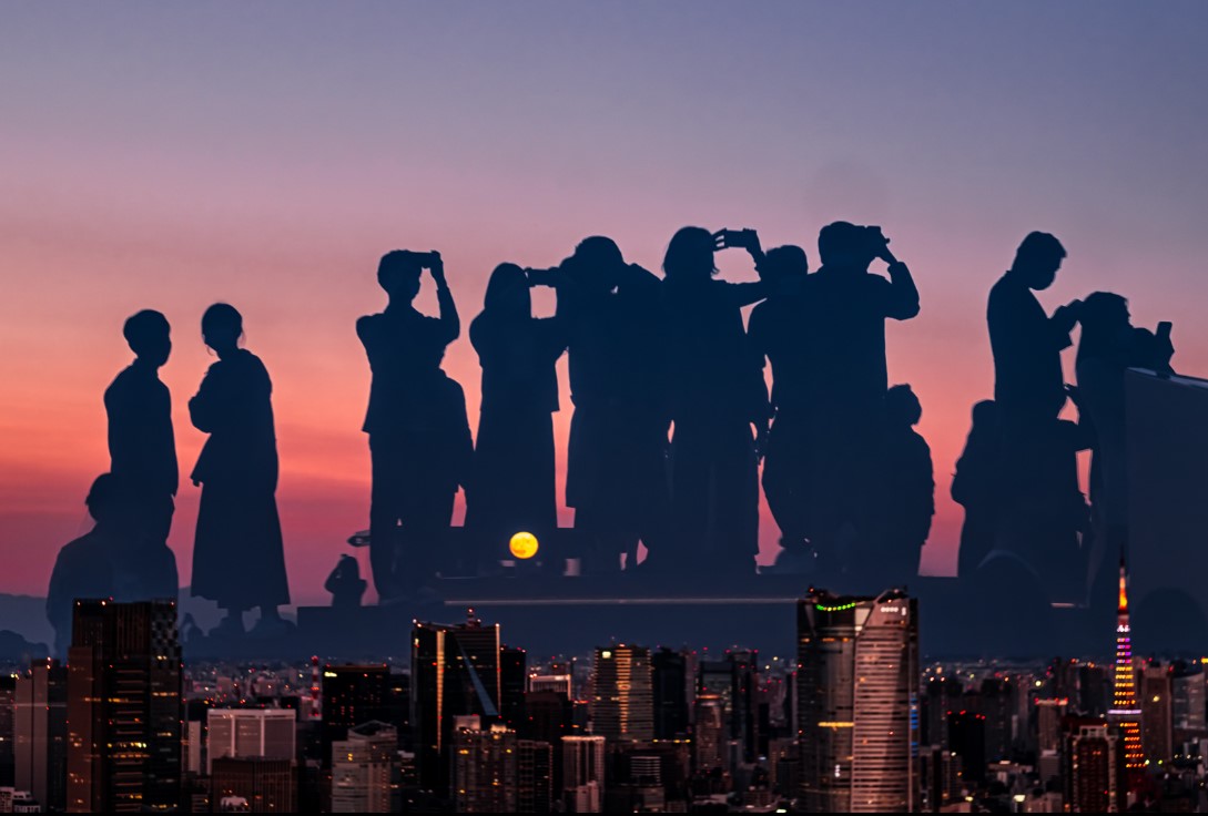 Весь мир на ладони: конкурс Sony World Photography Awards 2022 представил победителей