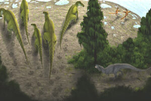В Канаде нашли следы стада динозавров возрастом 72,5 млн лет