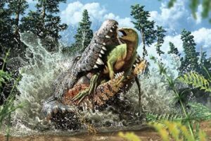 В Австралии нашли ископаемого крокодила с динозавром в желудке